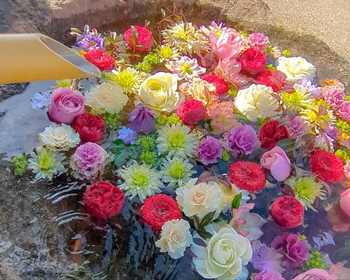 ⛩️ 가와고에 하치만 신사(가와고에 하치만구) 이미지 5